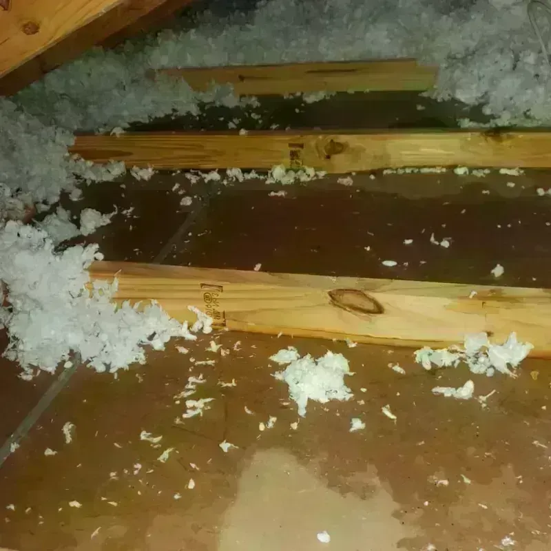 Attic Water Damage in Monmouth, OR