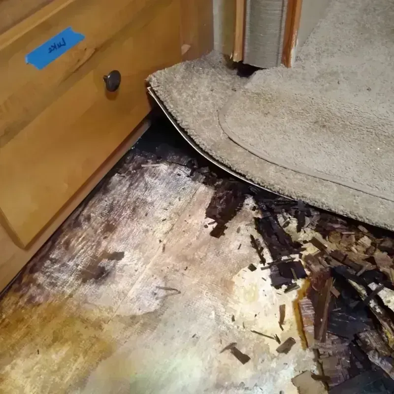 Best Wood Floor Water Damage Service in Monmouth, OR